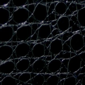 ClearPlex Back Film Large up to 11 inch (10-pack) Black Aligator