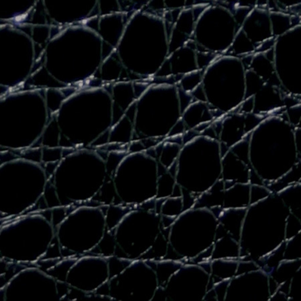 ClearPlex Back Film Large up to 11 inch (10-pack) Black Aligator